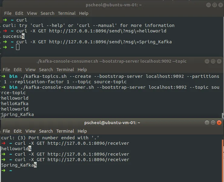 kafka-boot-stpe-result-1.PNG