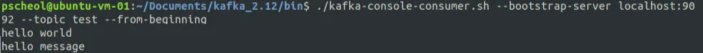 kafka-console-consumer.PNG