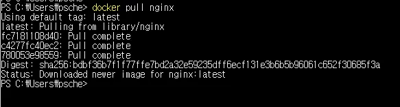 2019년 Nginx 이미지 다운로드