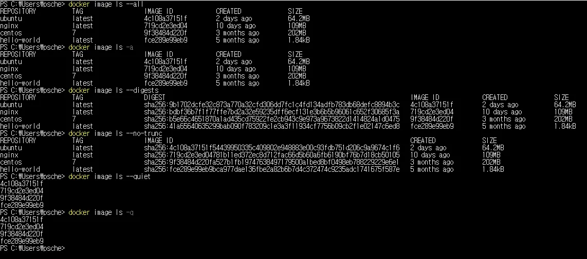dockerls.PNG