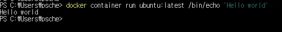 dockercontainerrun1.PNG